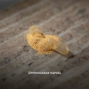 Holistic Multi-Immun 60 kapslar – Immun-kapsel öppnad med pulver