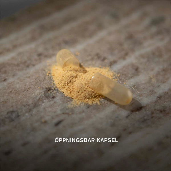 Holistic Multi-Immun 60 kapslar – Immun-kapsel öppnad med pulver