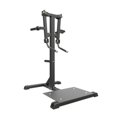 Impulse IFP Standing Lateral Raise Svart