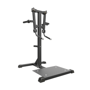Impulse IFP Standing Lateral Raise Svart