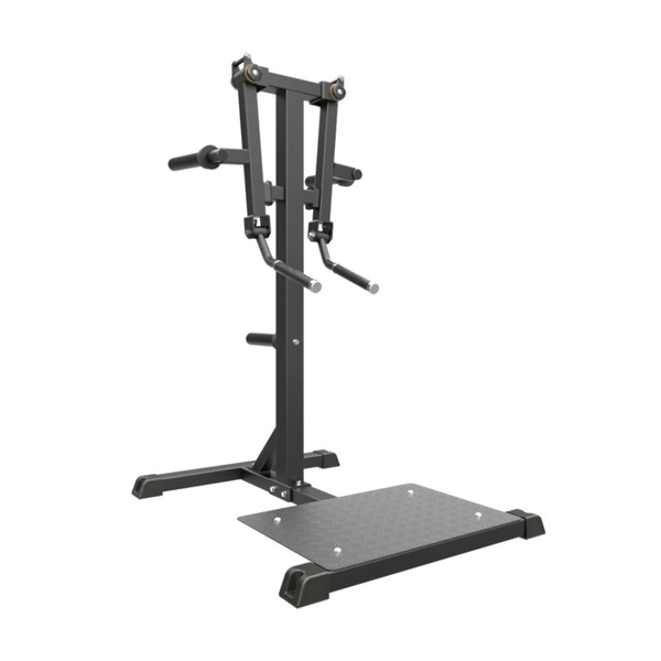 Impulse IFP Standing Lateral Raise Svart