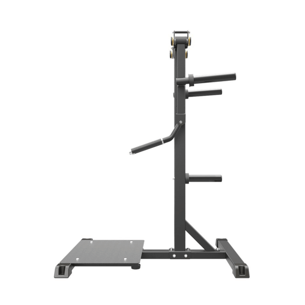 Impulse IFP Standing Lateral Raise Svart – stående lateral raise-maskin från sidan