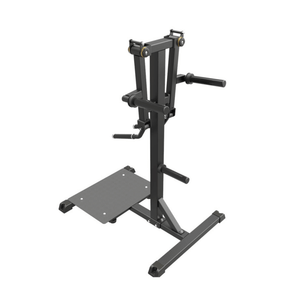 Impulse IFP Standing Lateral Raise Svart – stående lateral raise-maskin i trekvartsvy