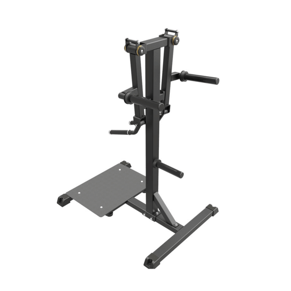 Impulse IFP Standing Lateral Raise Svart – stående lateral raise-maskin i trekvartsvy