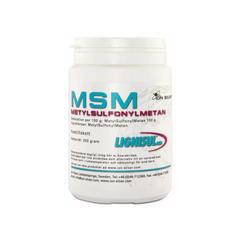 Ion Silver Lignisul MSM 200 g