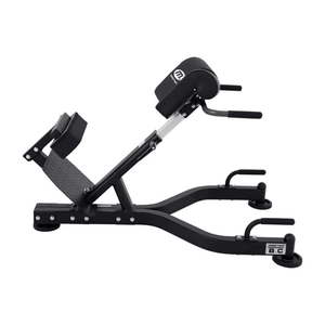 Master Fitness Hyper extension BX20 Ryggbänk – hyperextension-bänk i trekvartsvy