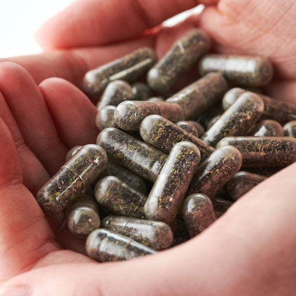 Kiki Health Organic Irish Sea Moss 90 kapslar – i händer