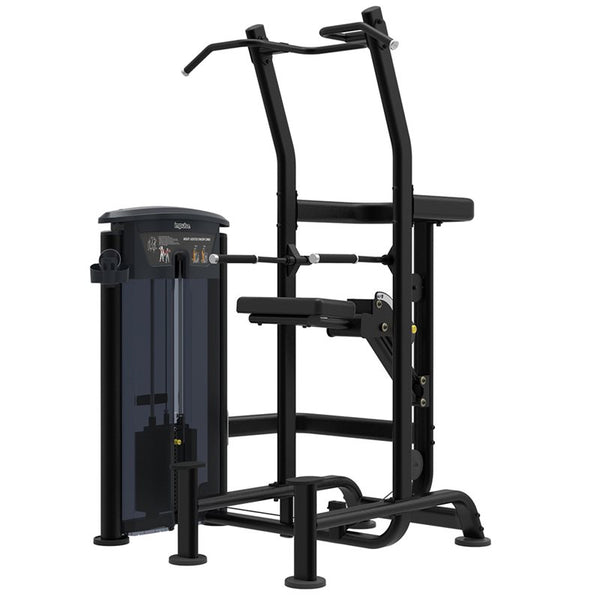 Impulse Weight Assist Chin/Dip Svart (IT9520)